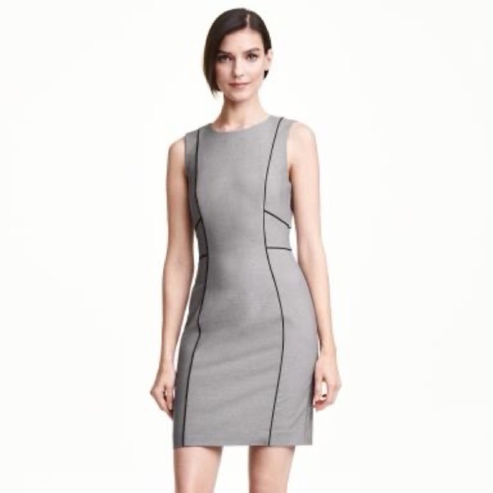 H&M Fitted Sheath Dress with Black Seaming